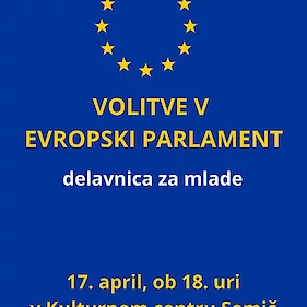 Volitve v evropski parlament, delavnica za mlade