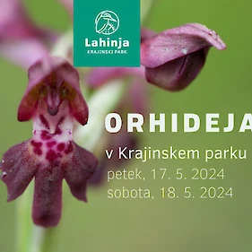 Orhidejada v KP Lahinja: Predavanje o orhidejah v KP Lahinja