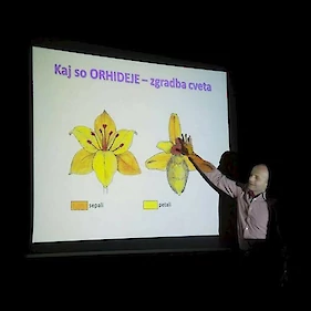 Predavanje o divjerastočih orhidejah