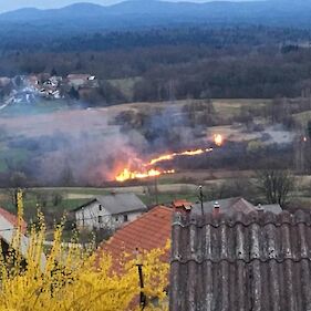 Travniški požar pri Sadinji vasi