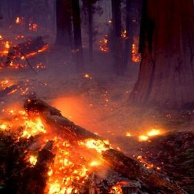 Velika požarna ogroženost naravnega okolja