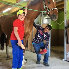 Druženje s konjem Florijanom v Horse Resort Stariha