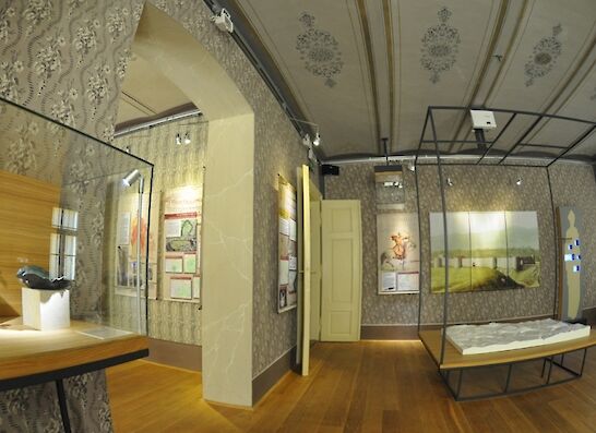 Dan odprtih vrat Bele krajine - Mestna muzejska zbirka Črnomelj