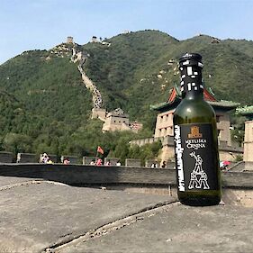 Metliška črnina na kitajskem zidu