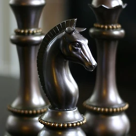 Šah v Hiši sadežev družbe Črnomelj