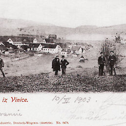 Vinica, 1903