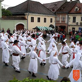 Vlada sprejela Odlok o razglasitvi Vuzemskih plesov in iger v Metliki za nesnovno dediščino državnega pomena