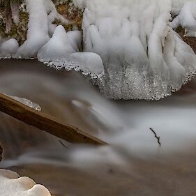 Divji potok v ledenem okrasju