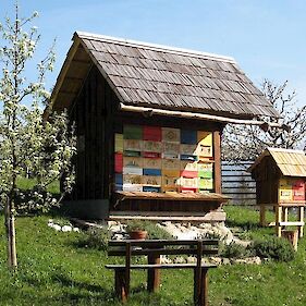 Ministrstvo razpisuje dobrih 328.000€ nepovratnih sredstev za čebelarje