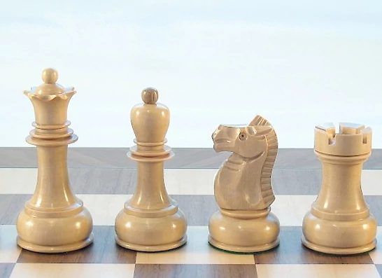 Šahovska delavnica v HSD Črnomelj
