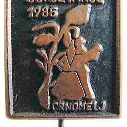 Leta 1985 je veljala takšna značka kot vstopnica na prireditveni prostor (Zasebna zbirka značk Darka Blažiča, Črnomelj).