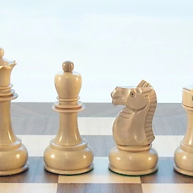 Šahovska delavnica v HSD Črnomelj