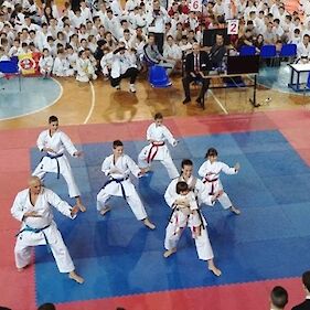11 medalj na Svetovnem "Super enpi" karate pokalu