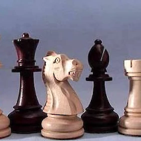 Šahovska delavnica