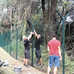 Med Žuniči in Ziljami naj bi delavci podjetja Legi-SGS postavili okoli štiri kilometre panelne ograje. Začeli so na območju Preloke (na sliki).