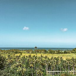 Razgled na palme in riževa polja z mesta, kjer bo stal njihov resort Disini na jugu Lomboka.