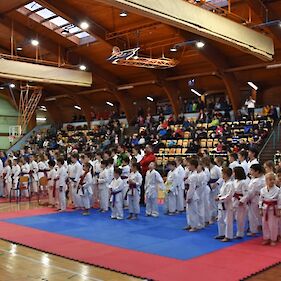 Odličen začetek leta za Karate klub Črnomelj