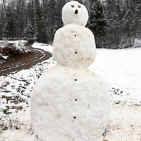 Sneženi mož
