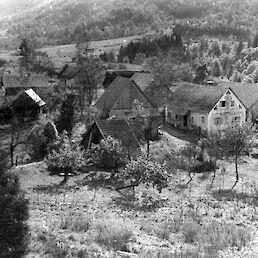 Novi tabor, september 1943 (foto Janez Miličinski, lastnik Muzej novejše zgodovine Slovenije)