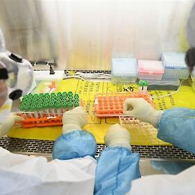 Sveži podatki: potrjenih 13 novih okužb, štiri osebe umrle