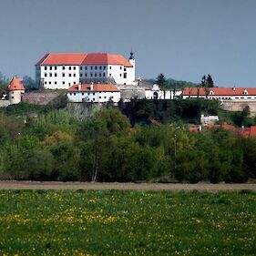 Virtualni sprehodi po muzejih in galerijah - Pokrajinski muzej Ptuj- Ormož (32)