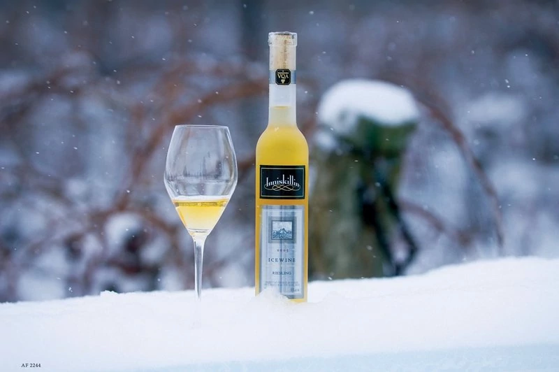 Predikatna vina s svojo zlato rumeno barvo izražajo bogatost in zrelost