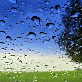 Jutri dopoldne bodo padavine povsod ponehale, popoldne se bo delno zjasnilo, bolj oblačno bo ostalo v jugovzhodni Sloveniji