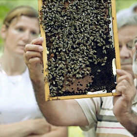 Belokranjska čebelarska učna pot