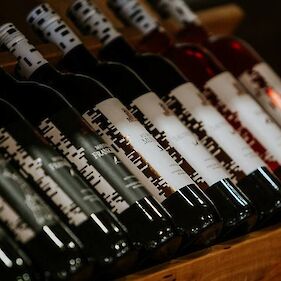 Degustacija vin in ogled Vinske kleti Metlika
