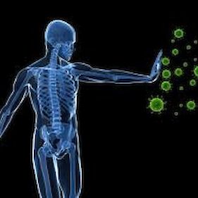 Kako ohranimo vitalno telo in pomagamo imunskemu sistemu