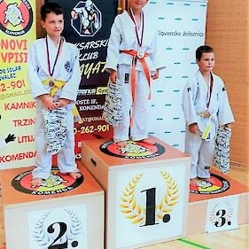 Dve medalji za belokranjske judoiste