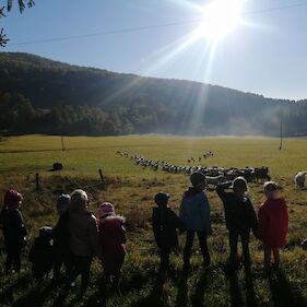 "Medvedki" in "Lisičke" smo obiskali kmetijo Hobič