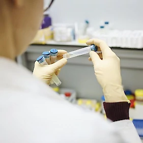 Testiranje in cepljenje v ZD Metlika od 10. januarja naprej