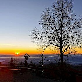 Mirna gora, sončni vzhod, 24. februar 2022