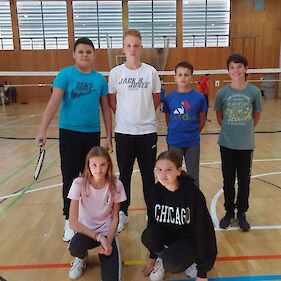 Področno posamično tekmovanje v badmintonu