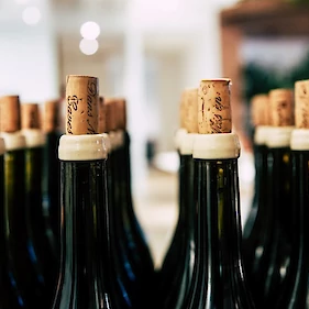 Ocenjevanje vin po metliških kafanah 2022