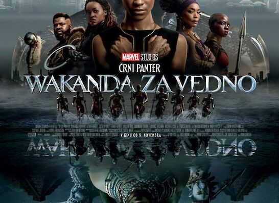 Črni panter: Wakanda za vedno (Kino Črnomelj)