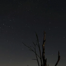 Opazovanje nočnega neba v Big Berryju