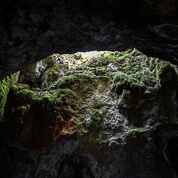 Pogled iz kraške jame Malikovec.