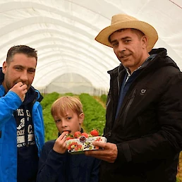 Na družinski kmetiji Pavlovič so se preusmerili v pridelavo jagodičevja.