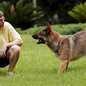 Trener psov v Utici