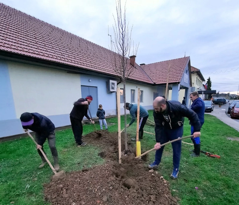 Zasaditev drevesa v Adlešičih.