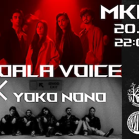 Koala voice in Yoko nono (MKK in KBŠ)